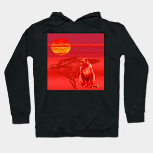 Africa Monkey Sunrise Desert Red Gift T-Shirt Hoodie